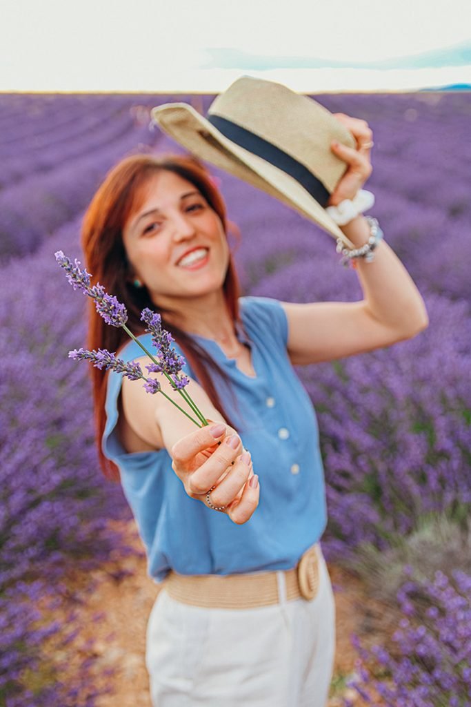 Lavanda in Provenza