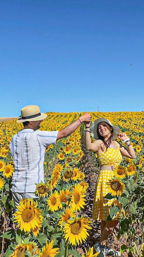 Girasoli in Provenza