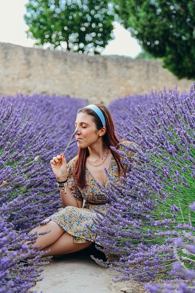 Lavanda in Provenza