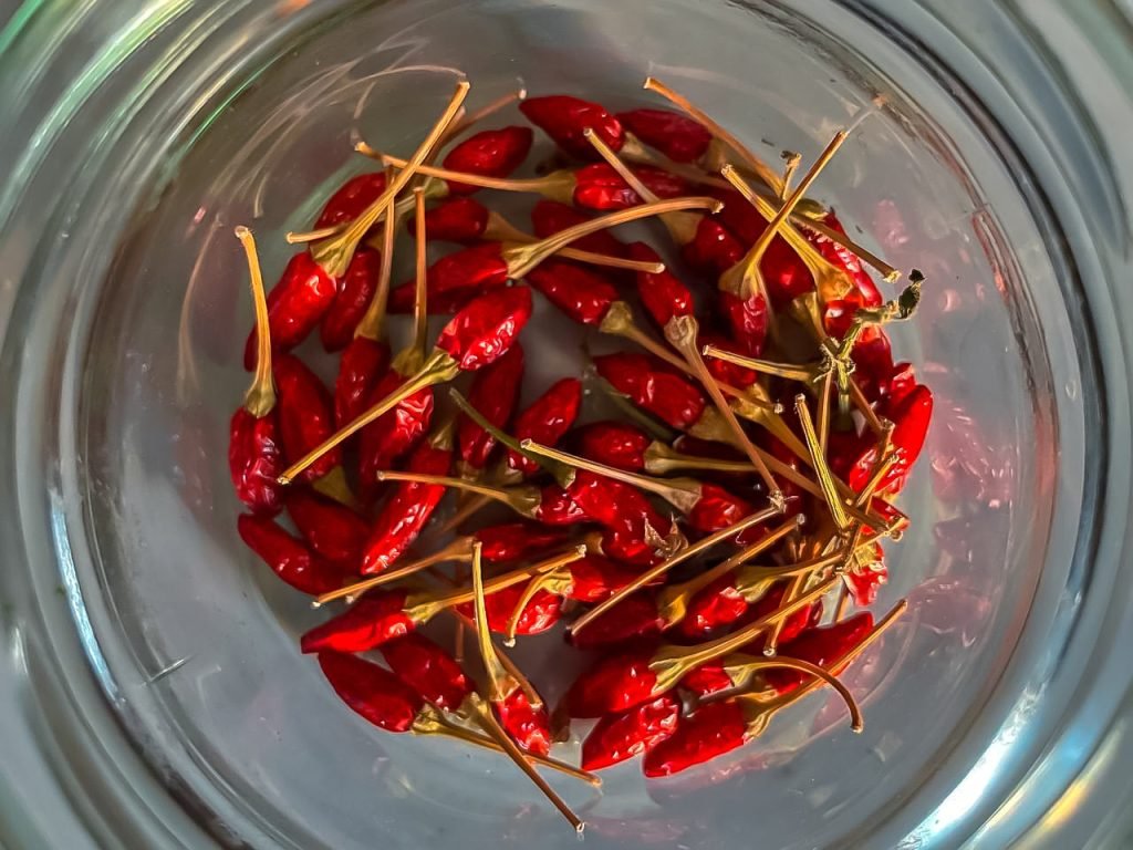 peperoncino calabrese