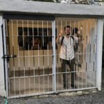 Viaggiare in Colombia è pericoloso?
