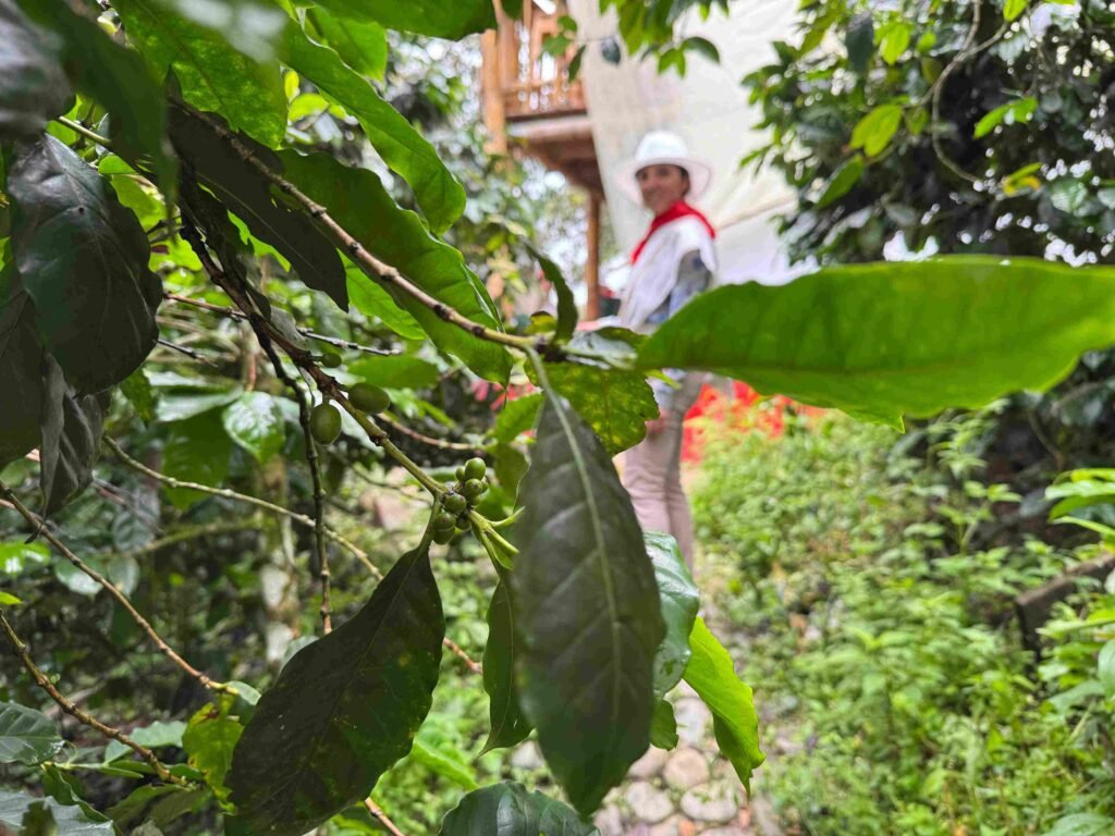 Caffè colombiano autentico